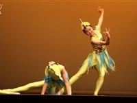舞蹈团参加第二届深港国际舞蹈交流节
