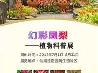 仙湖植物园举办“幻彩凤梨”植物科普展